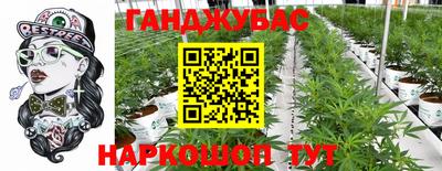 крисы Дубна