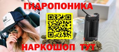 индика Донецк