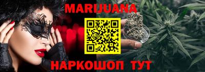 крисы Дубна
