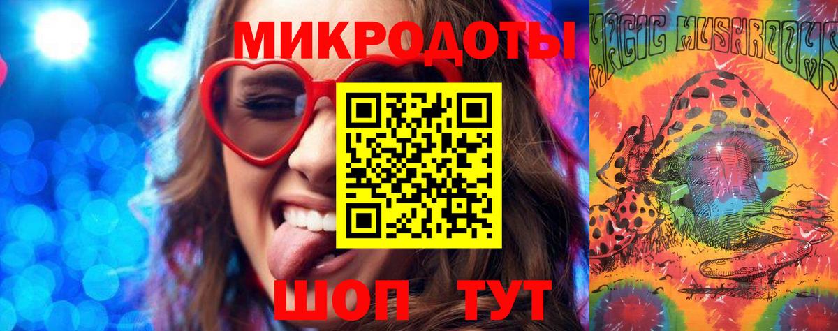 Псилоцибиновые грибы Psilocybe  Вход с VPN  Бутурлиновка 